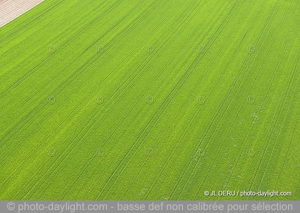 agriculture - Hesbaye